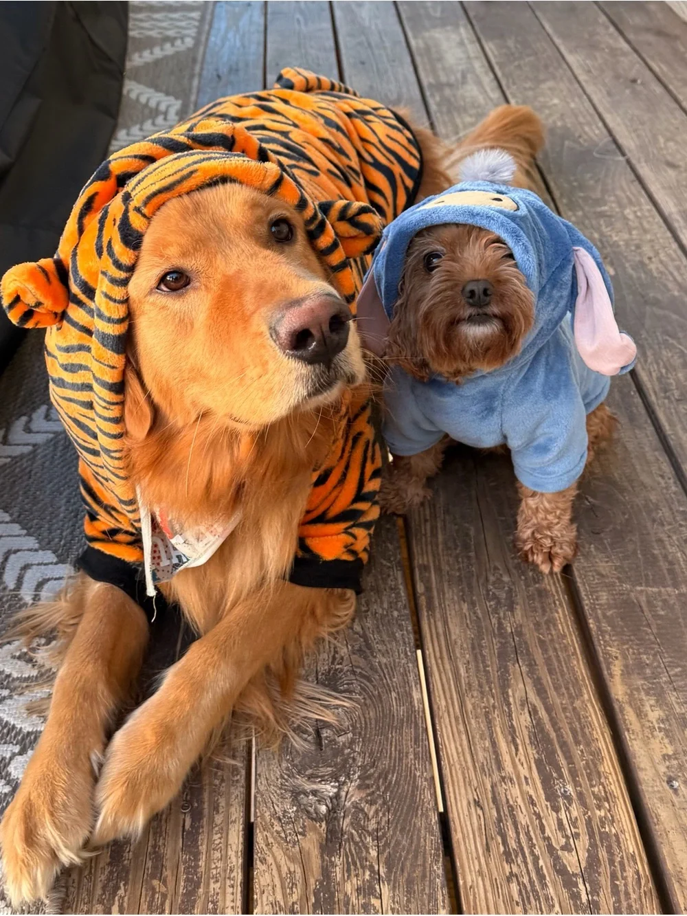 eeyore halloween dog costume winnie the pooh -Small